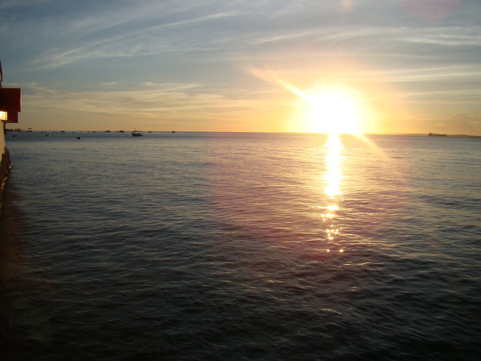 [DSC00742.JPG]