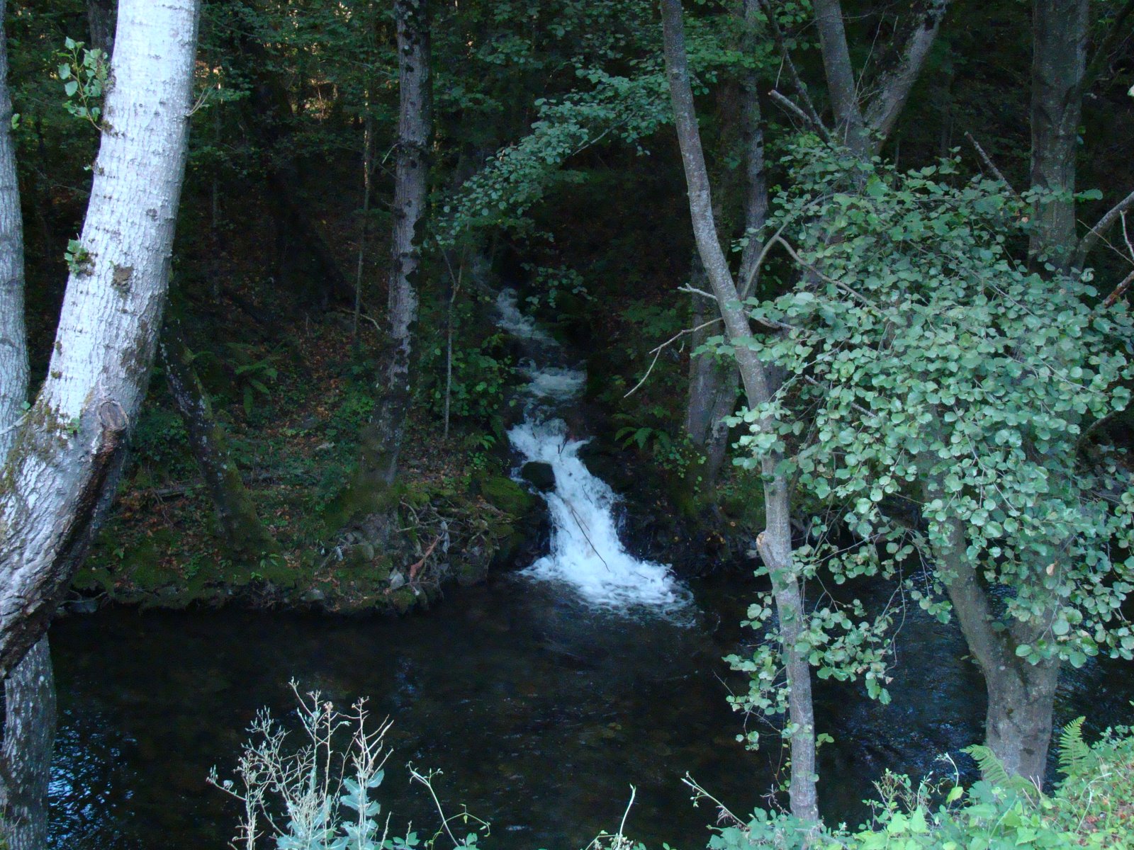 [DSC00313.JPG]