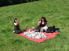 Picnic in 'Cowpat field.