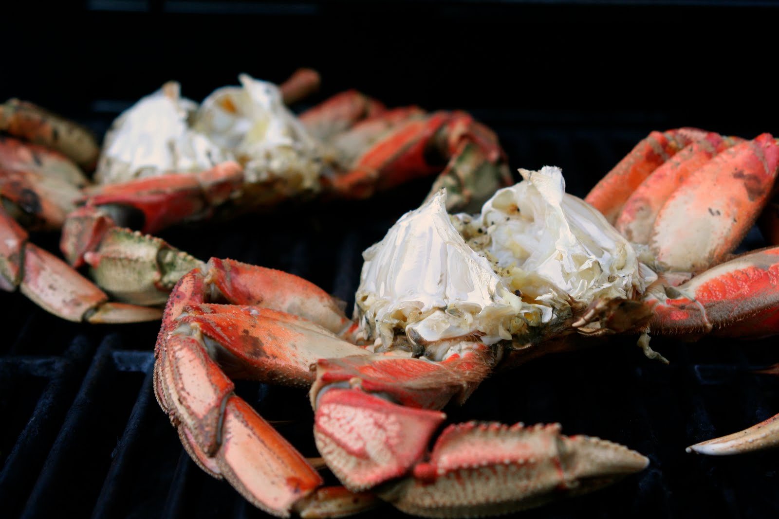 Farming Portland Local Food, Portland Sources Portland Salmon and