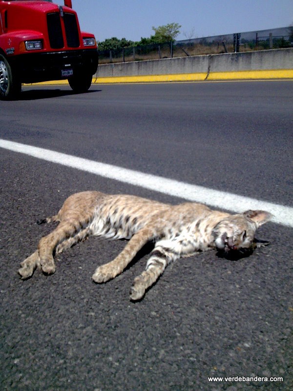[Imagen004.JPG]
