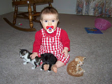Kaizley and the kittens