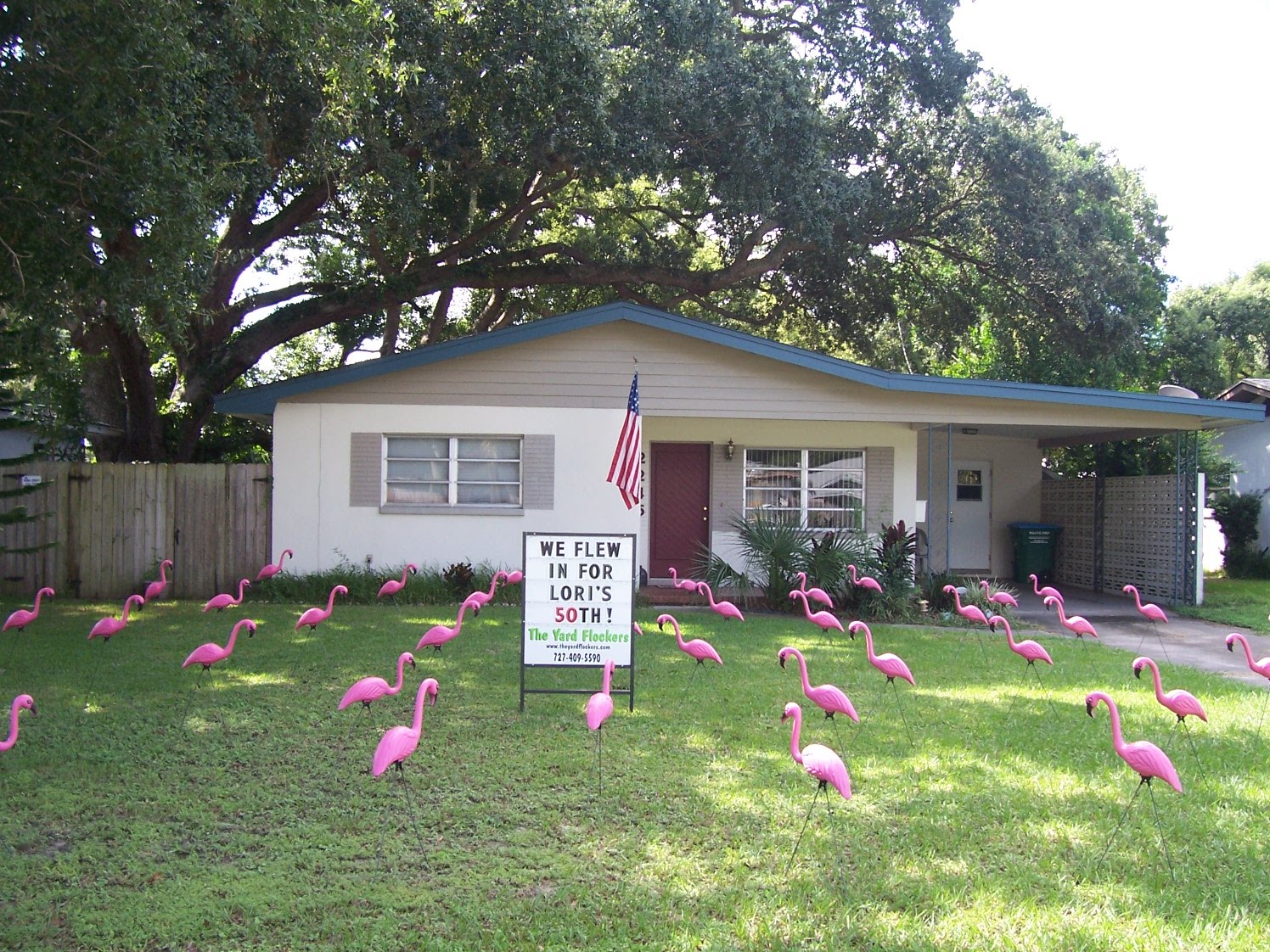 *THE YARD FLOCKERS* Pinellas County, Fla 727-409-5590 WWW