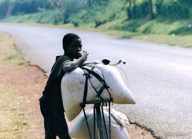 [Scan-090611-0089.jpg]