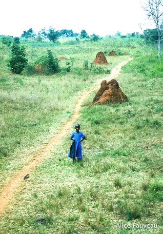 [Scan-090611-0006.jpg]