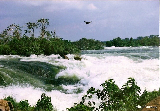 [Scan-090611-0146.jpg]