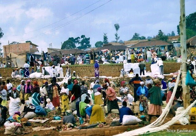 [Scan-090611-0159.jpg]