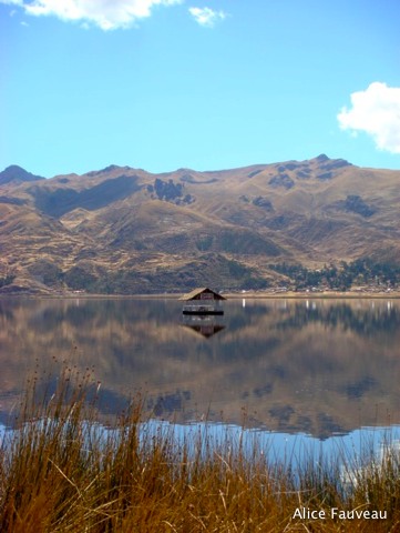 [01+Pimpa+Peru+198.JPG]