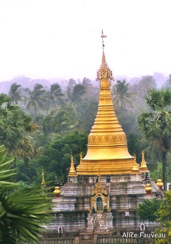 [Scan-090607-0292.jpg]