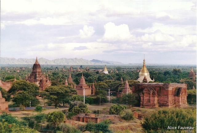 [Scan-090607-0252.jpg]