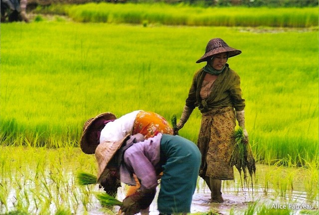 [Scan-090607-0262.jpg]