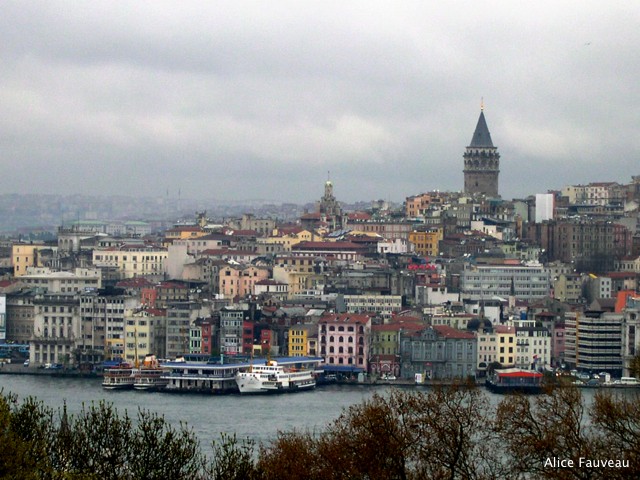 [DSCN5830.JPG]