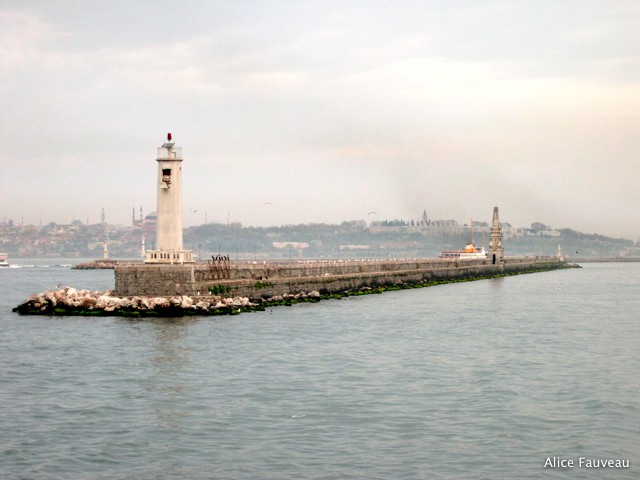 [DSCN6213.JPG]