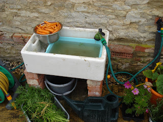 Our New Life In The Country Harvesting The Veggies