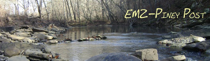 EMZ-Piney Post