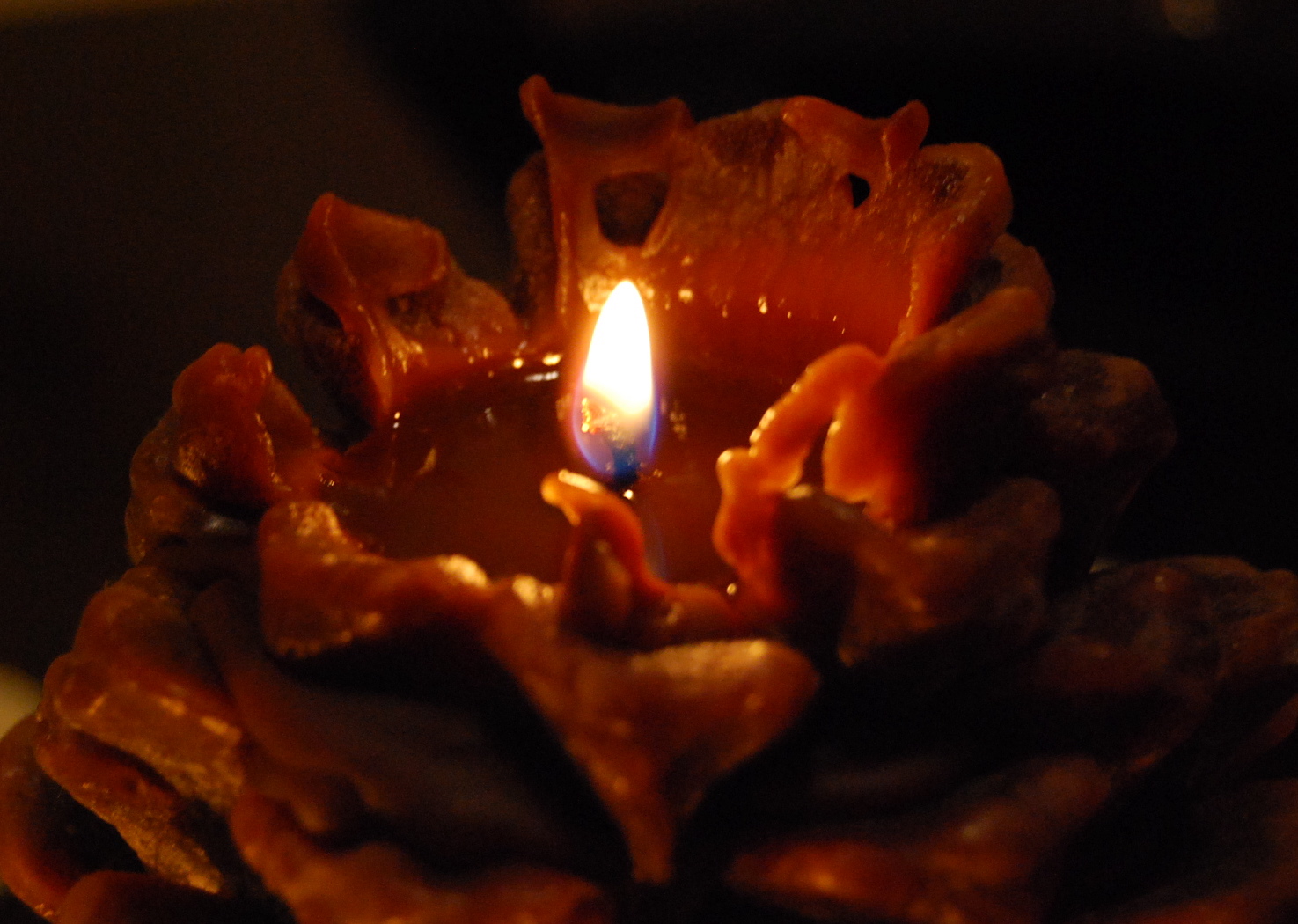 [DSC_0030_4.JPG]