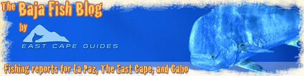 The Baja Fish Blog