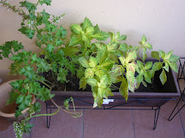 Green Plants