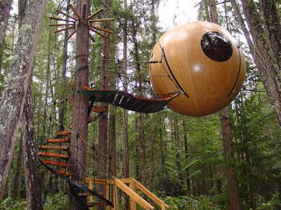 home with trees