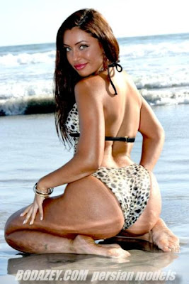 PERSIANALITY: Even More Beautif...