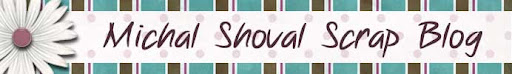 Michal Shoval - Scrap Blog
