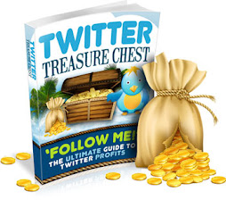 The Big Twitter Follow For Cash