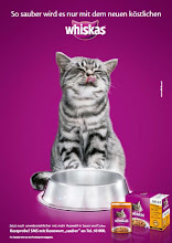 Whiskas Keyvisual