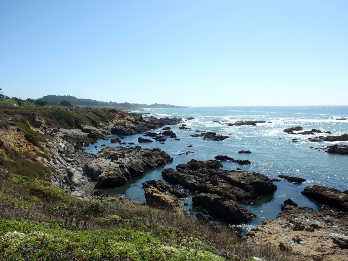 Everything Coastal.... Crusin' to Bean Hollow Beach...