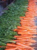 [carrotsblog.JPG]