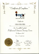 Professional Certificate
