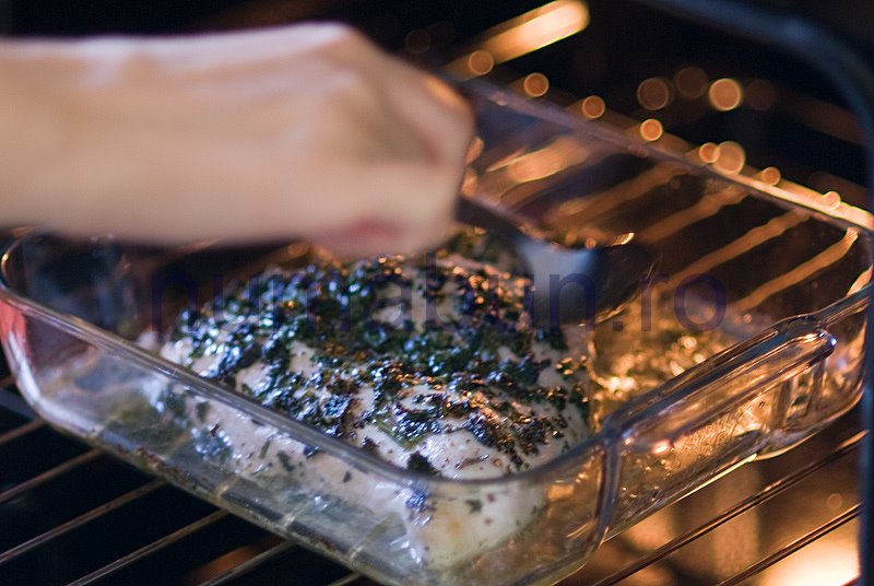 [curcan_crusta-13.jpg]