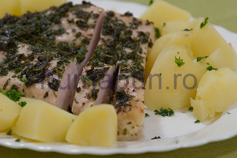 [curcan_crusta-16.jpg]