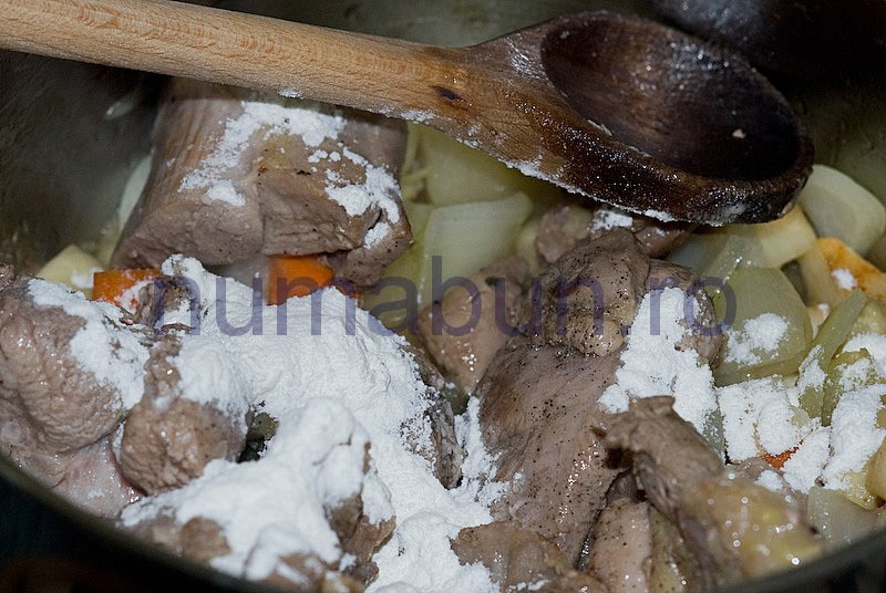 [curcan_in_vin-13.jpg]