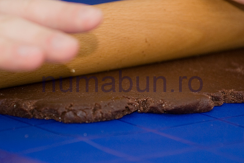 [fursec_cocos-14.jpg]