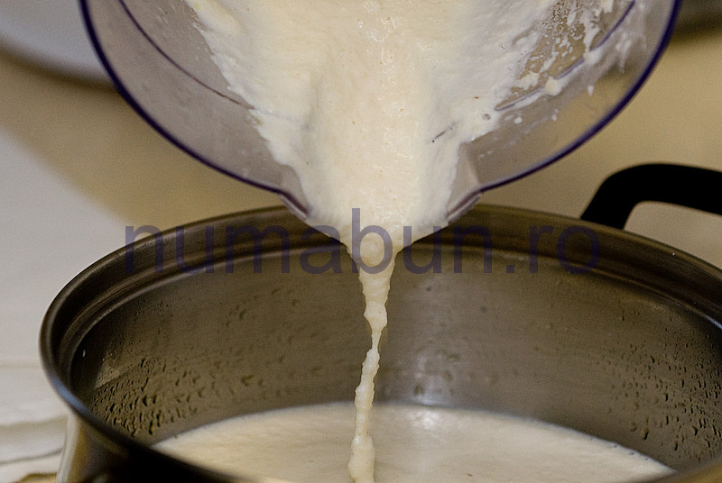 [sos_migdale-13.jpg]