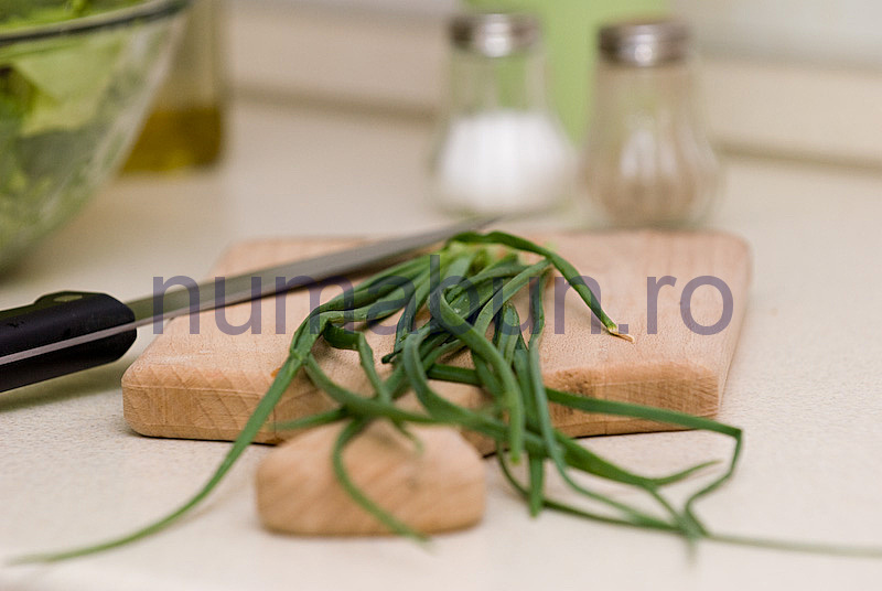 [salata_voyager-11.jpg]