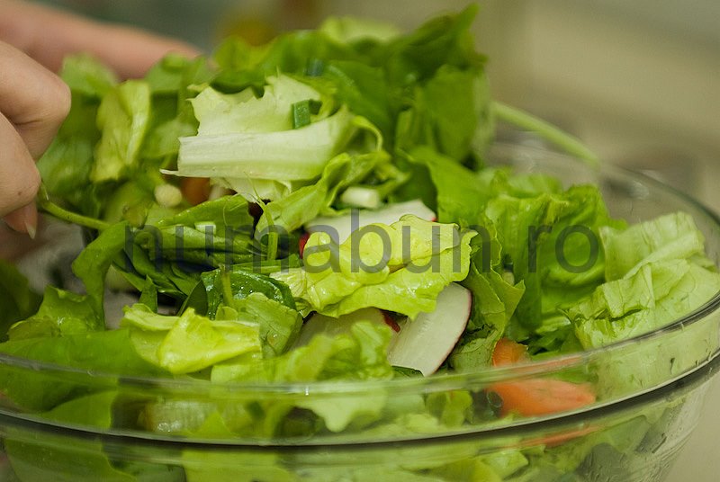 [salata_voyager-14.jpg]