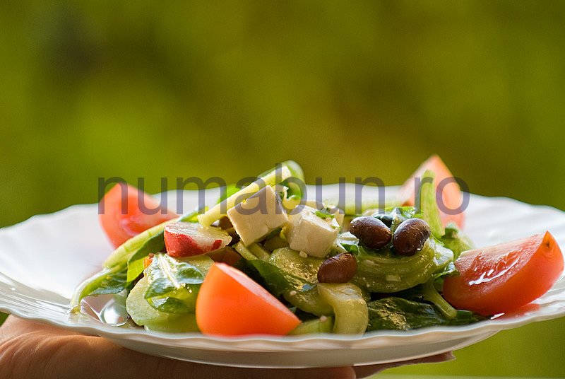 [salata_penelopa-17.jpg]