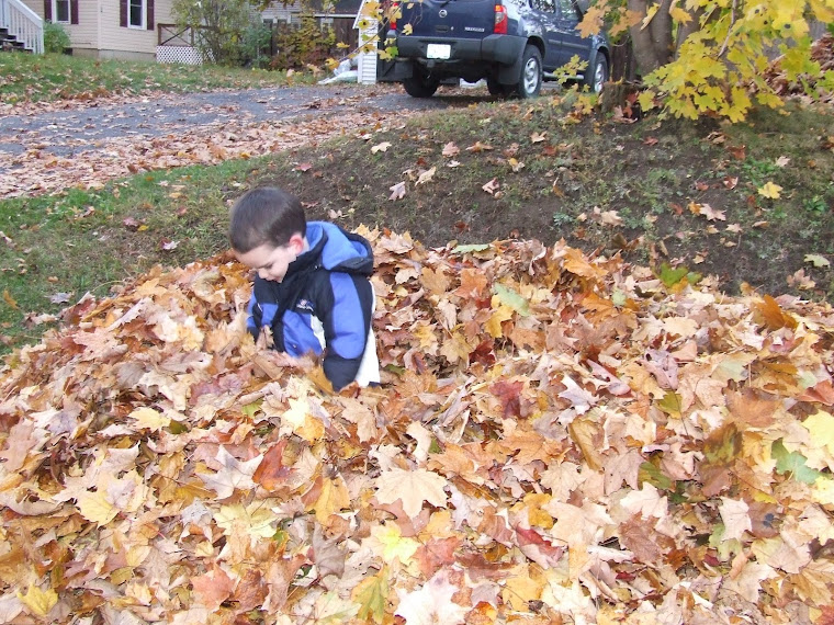 Playing in the leaves