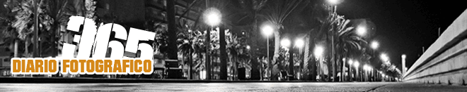 365 Diario fotográfico