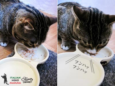 見事な食いっぷり!
