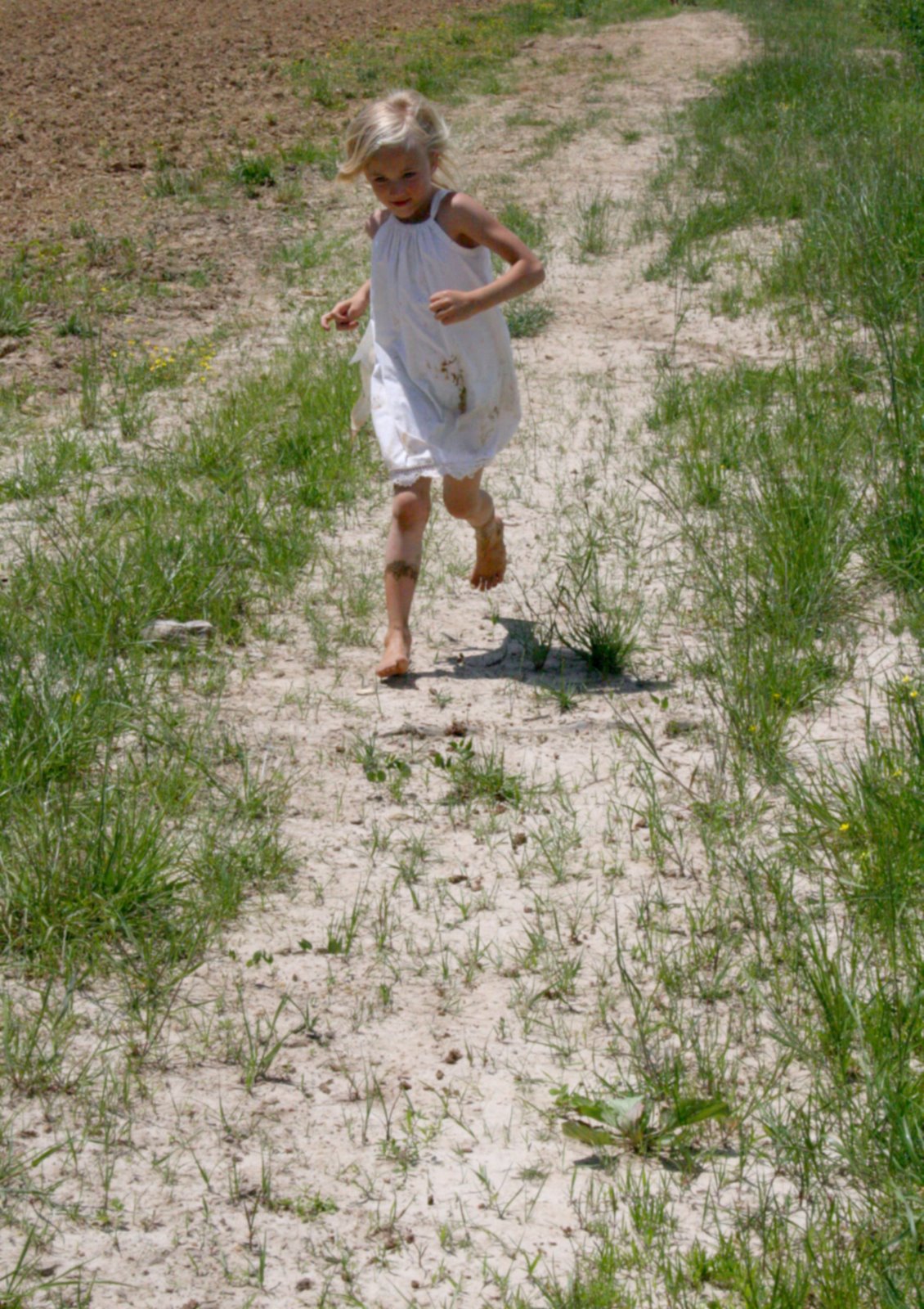 [run+blur.jpg]