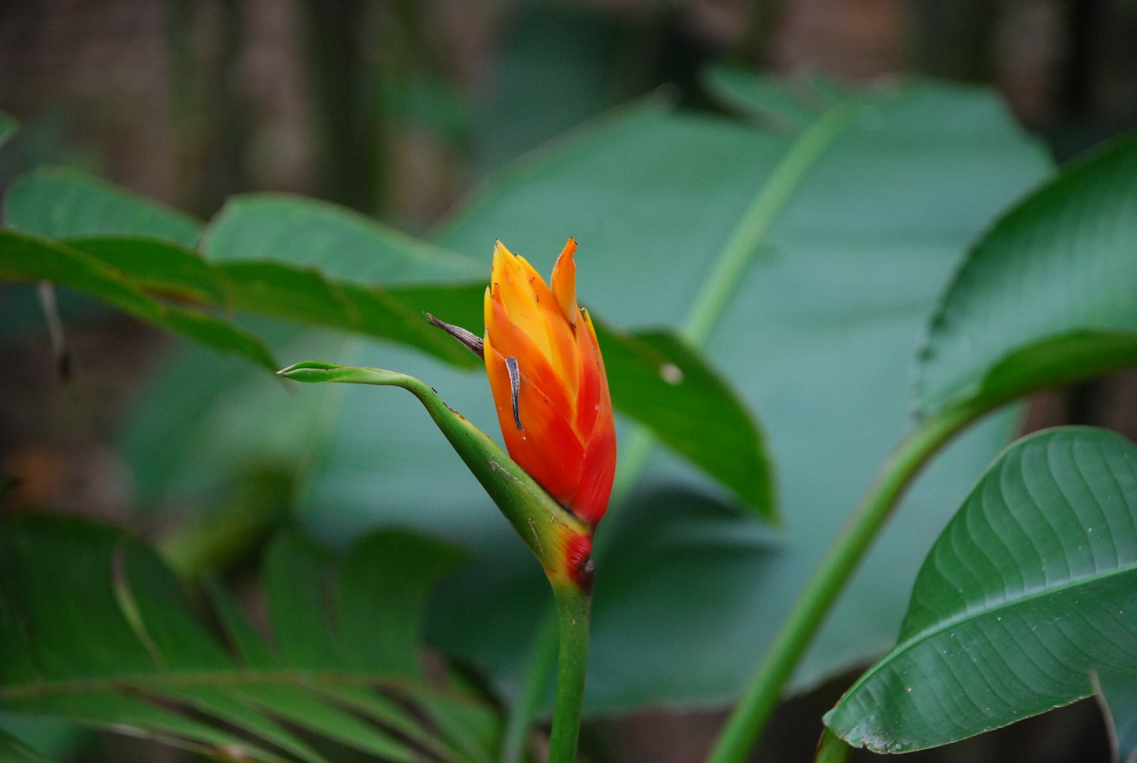 [DSC_1187.JPG]