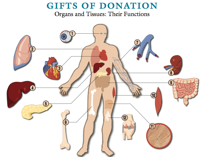 http://4.bp.blogspot.com/_BldrsdFxPTA/SMQI1hHjkdI/AAAAAAAADjw/Vge-yL5L_No/s1600/Bilde+2.png