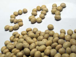 soybean essence image