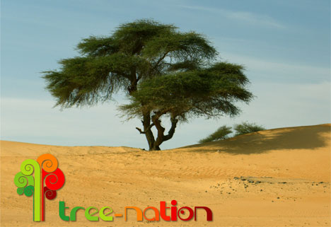 [Tree-Nation.jpg]