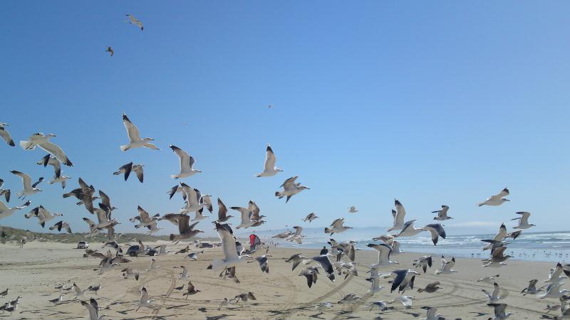 [image-upload-89-724457.jpg]