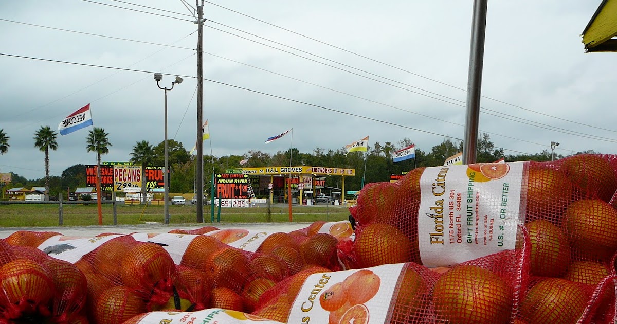 Old Florida St. Johns County citrus stands