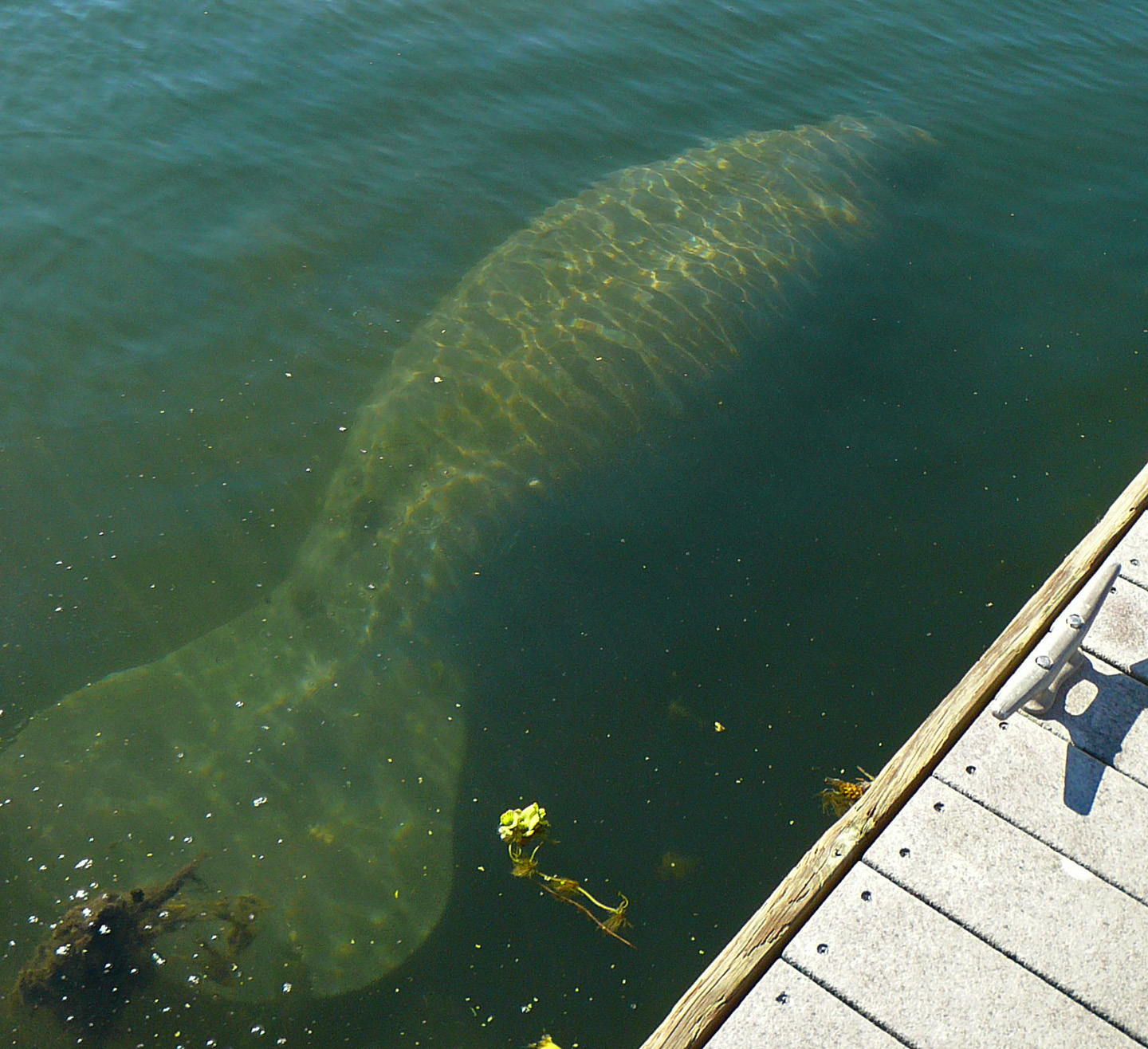 Old Florida December 2010