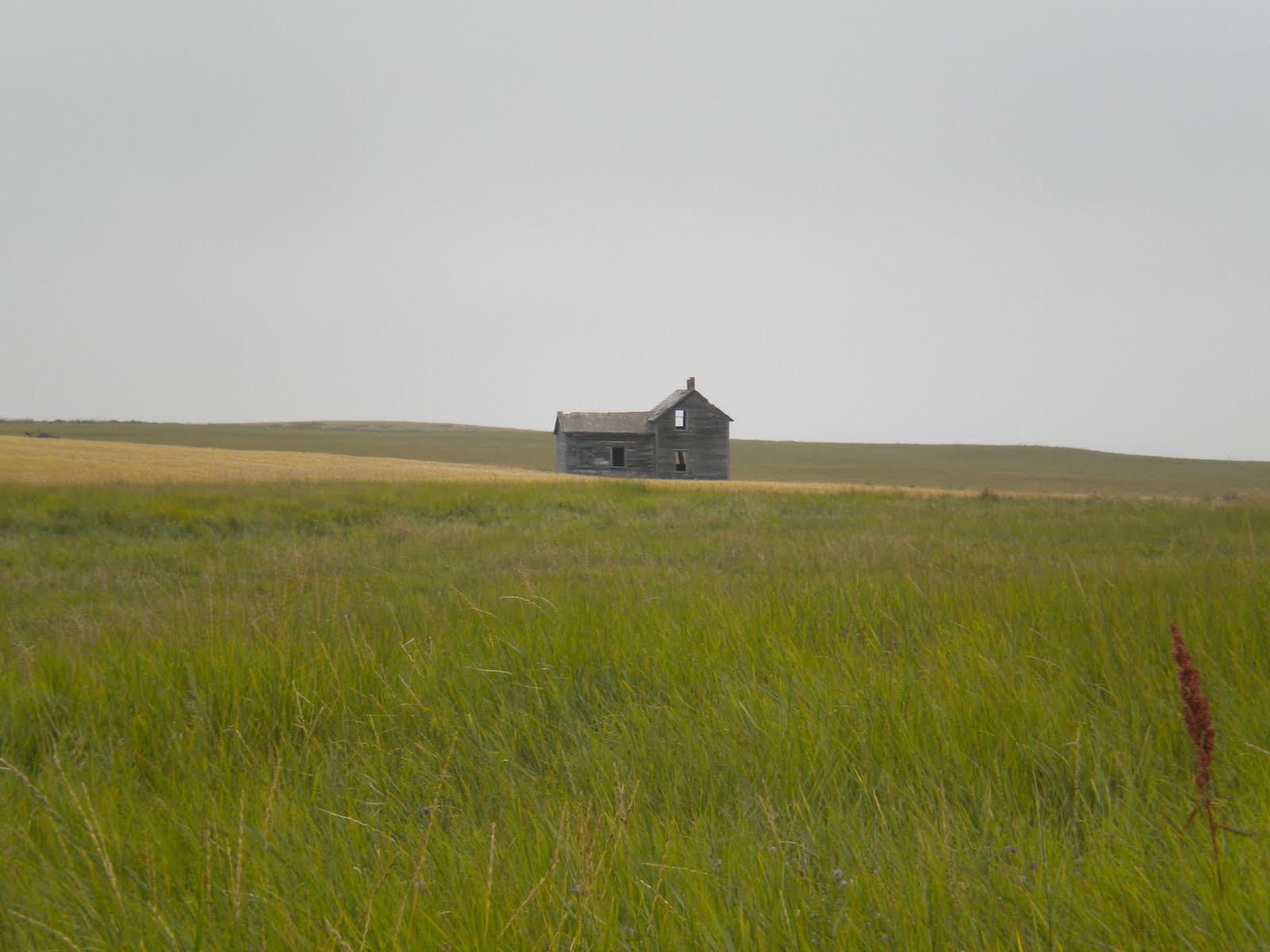 TearDropHouses: The Outpost, Moscow, Idaho